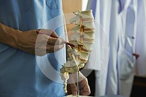 A neurosurgeon pointing at lumbar vertebra model in medical off