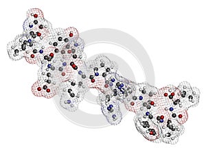 Neurotensin neurotransmitter peptide (Q1E mutated). 3D rendering based on protein data bank entry 2lne photo