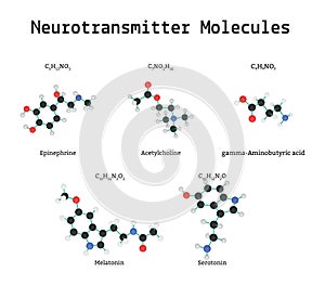 Neurotransmitter molecules set