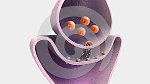 Neurotransmitters