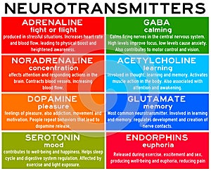 Neurotransmitters photo