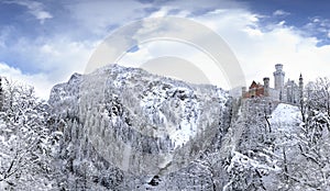 NEUSCHWANSTEIN CASTLE