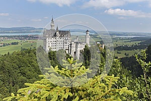Neuschwanstein Castle,amazing view of the famous castle in Baviera, Germany photo