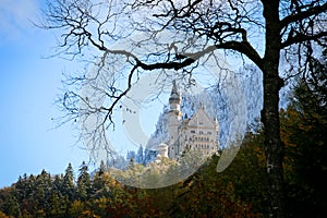 Neuschwanstein Castle in Baviera photo