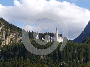 Neuschwanstein Castle in Baviera, Germany, with the forest tree