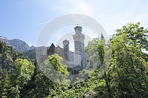 Neuschwanstein Castle behind trees from tourist scenic point