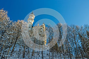 Neuschwanstein Castle closeup on early morning in winter