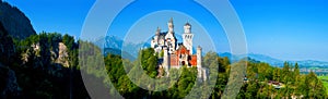 Neuschwanstein Castle standing in green forest