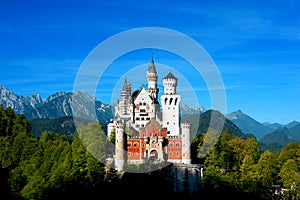 Neuschwanstein Castle standing in green forest