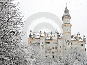 Neuschwanstein Castle in winter,Germany