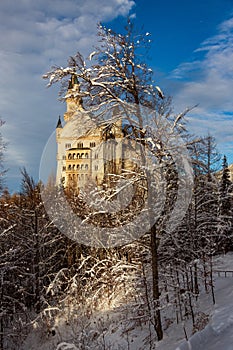 Neuschwanstein Castle in winter landscape