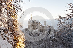 Neuschwanstein Castle in winter landscape, early morning