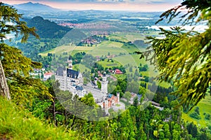 Neuschwanstein from forest above