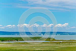 neusiedlersee lake on the border between Austria and Hungary...IMAGE