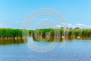 neusiedlersee lake on the border between Austria and Hungary...IMAGE