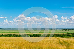 neusiedlersee lake on the border between Austria and Hungary...IMAGE