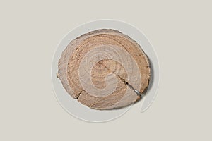 Neutral brown background made of hardwood from the forest. Textured surface with rings and cracks