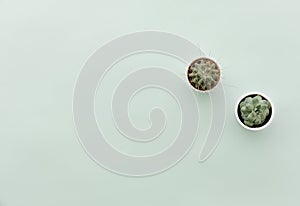 Neutral Minimalist Flat Lay Scene With Cactus