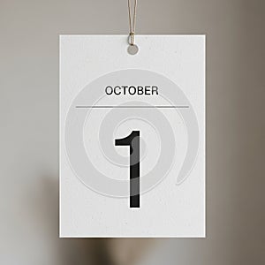 Neutral and slightly blurred emphasizing the simplicity and focus on the