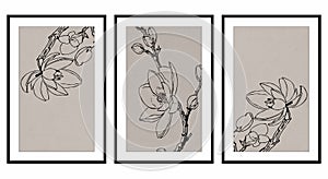 Neutral wall graphics. . Botanical illustration for printing. Modern rustic wall decoration for the room. Modern house .