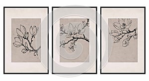 Neutral wall graphics. . Botanical illustration for printing. Modern rustic wall decoration for the room. Modern house .