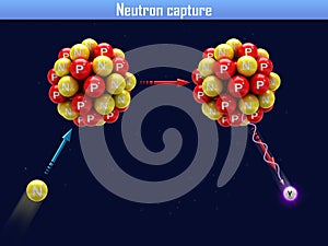 Neutron capture