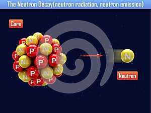 The Neutron Decay(neutron radiation, neutron emission)