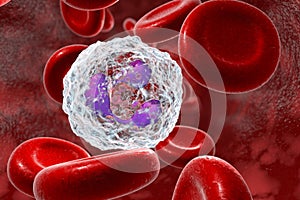 Neutrophil in blood, a white blood cell