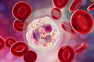 Neutrophil, a white blood cell photo