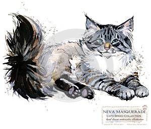 Neva Masquerade Cat. watercolor home pet illustration. Cats breeds series.