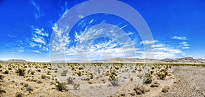 Nevada Desert Beauty photo