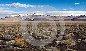 Nevada Desert Landscape