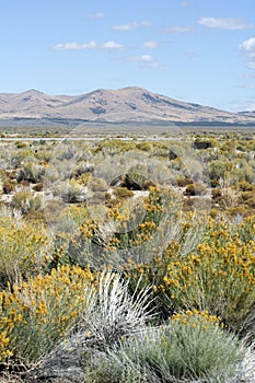 Nevada Desert Scenic