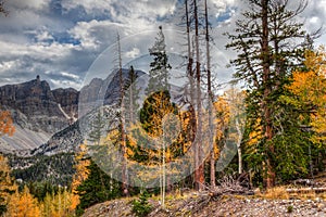 Nevada-Great Basin National Park-Wheeler Peak Trail