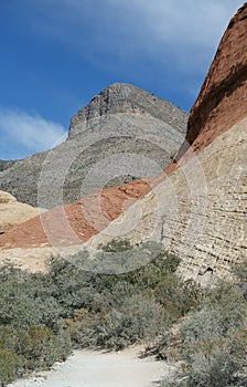 Nevada landscape