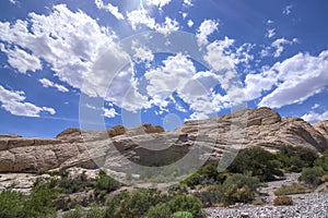 Nevada rock formations in desert