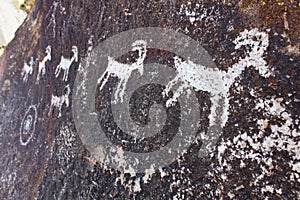 Nevada Rock Petroglyphs