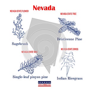 Nevada. Set of USA official state symbols photo