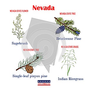 Nevada. Set of USA official state symbols photo