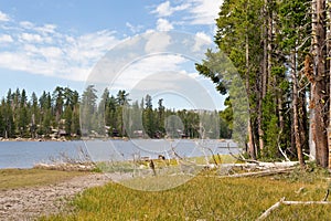 Nevada Wrights lake scenic