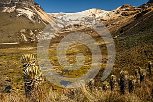 Nevado del Quindio in Los Nevados, Colombia photo