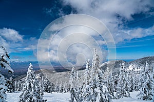 Never ending Amazing Views of Snow Covered landscape