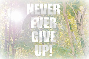 Never ever give up motivational quote on sunny forest background. Green optimistic inspirational typography quote