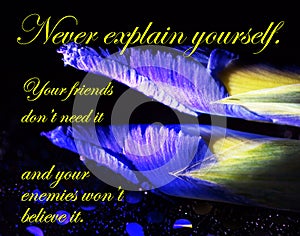 Never Explain Yourself Iris Floral Buds Print on Friends and Enemies