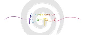 NEVER GIVE UP HOPE colorful brush calligraphy banner