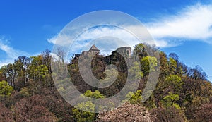 Nevitsky Castle in spring time.