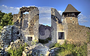 Nevytsky Castle in Zakarpattya