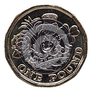 New 1 pound coin, United Kingdom isolated over white