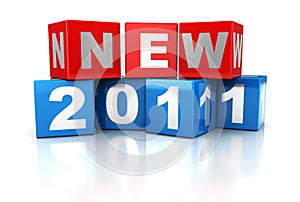 New 2011 year