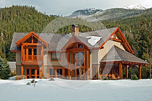 New american wooden dream home